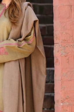 TS23-PLAIN PASHMINA SHAWL
